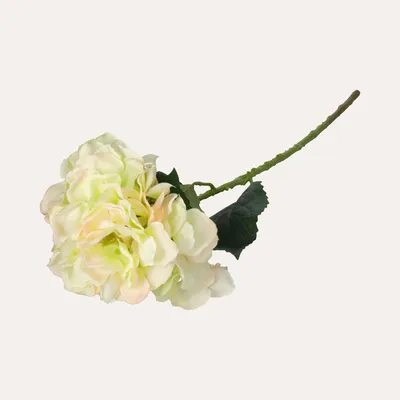 Immagine prodotto di KEYHOMESTORE | Set di Cinque Ortensie Decorative Artificiali