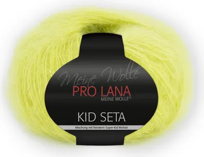 Produktbild von Pro Lana Kid Seta Uni 25g (71)