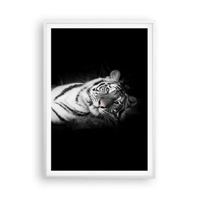Produktbild von Gerahmtes Poster - Weißer Rahmen - Weiß Tiger Schwarz und Weiß - 70x100 cm - Wand Bild - Wanddeko - Wandbilder - Wandposter - Bilderrahmen - Bilder - Kunstdruck - Wandbild - P2WPA70x100-4247