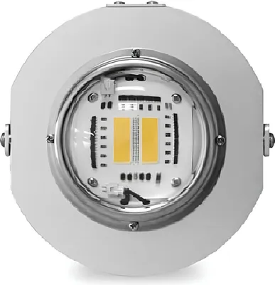 Immagine prodotto di Lampada a sospensione LED AGROTEK da 110W per la coltivazione di piante con spettro luminoso completo per la coltivazione domestica e in serra.