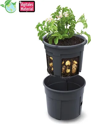Produktbild von TimeTEX Anzucht- und Beobachtungstopf für Kartoffeln, 2-tlg.