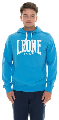 Produktbild von Herren-Hoodie mit großem Logo