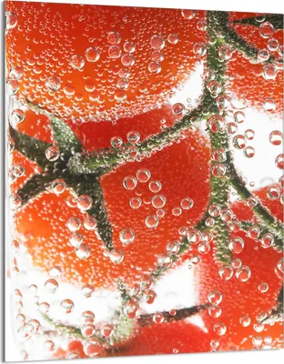 Produktbild von Glasschneidebrett 40x52 Tomate