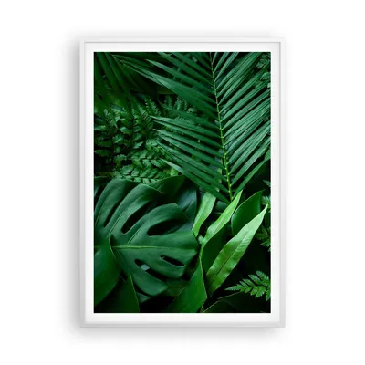 Produktbild von Gerahmtes Poster - Weißer Rahmen - Exotisch Blätter Monstera - 70x100 cm - Wand Bild - Wanddeko - Wandbilder - Kunstposter - Wandposter - Bilderrahmen - Bilder - Kunstdruck - P2WPA70x100-4746