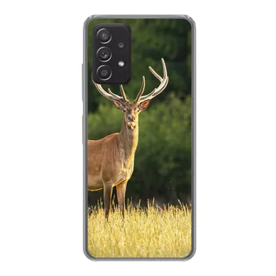 Produktbild von MuchoWow® Handyhülle Schutzhülle Hülle für Samsung Galaxy A53 5G Hirsch - Geweih - Gras - Natur - Tiere - Grün Silikon Softcase Handy Hülle - Schutzabdeckung