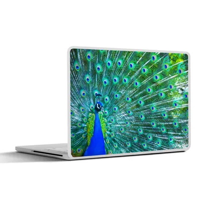 Produktbild von MuchoWow® Laptop Aufkleber Sticker Cover Pfau - Blau - Tiere 30x21 cm - Sticker für Laptop - Selbstklebend