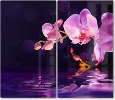 Produktbild von DEQORI Herdabdeckplatte Glas 2-tlg 'Orchideenblütenzweig' Herd Abdeckung Küche