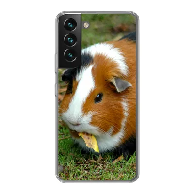 Produktbild von MuchoWow® Handyhülle Schutzhülle Hülle für Samsung Galaxy S22 Plus Meerschweinchen draußen Silikon Softcase Handy Hülle - Schutzabdeckung