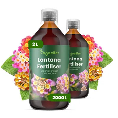 Zdjęcie produktu dla Lantana, płynny nawóz 2x1 litr – 2-1-8 NPK – przeznaczony dla roślin Lantana – wspomaga zdrowy wzrost i intensywne kolory kwiatów – produkt organiczny