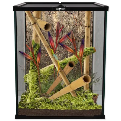 Zdjęcie produktu dla REPTI PLANET terrarium szklane 20x20x30cm