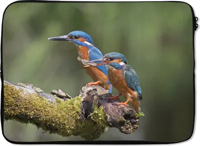 Produktbild von MuchoWow® Laptop Hülle 14 ZollEisvogel - Fisch - Zweig Laptoptasche - Laptoptasche - Stoßsicher - Schutzhaube
