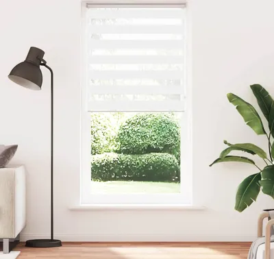 Produktbild von Cloris DesignMöbel Doppelrollo Weiß 115x230cm Stoffbreite 110,9cm Polyester - Rollos DE795516