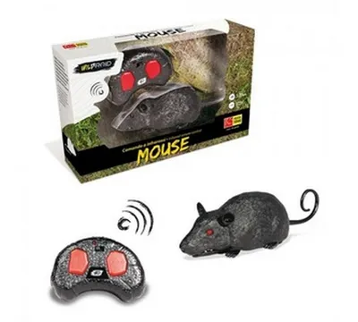 Image de WILDROID - Rat R/C, boîte