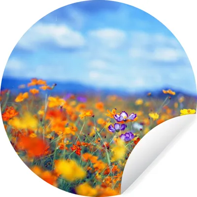 Produktbild von MuchoWow® - Wandbild - Fototapete - Selbstklebend - Dekoration - Wandschmuck - Schlafzimmer