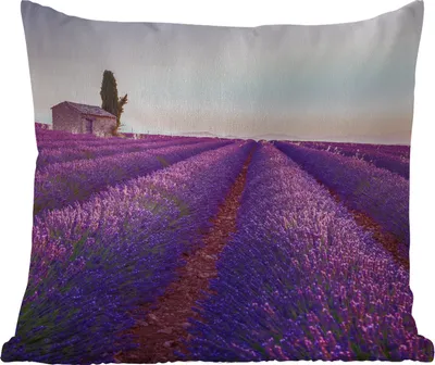 Produktbild von MuchoWow® Outdoor Kissen - Lavendel - Sonnenuntergang - Lila - Blumen - 40x40 cm - Wetterfest - Lounge Kissen - Kopfkissen - Interieur - Polster mit Bild