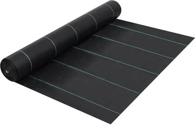 Image de Toile de jardin - 2 x 5 m - 60 g/m² - Filet anti-mauvaises herbes hydrofuge - Filet de paillage à rayures vertes - Noir