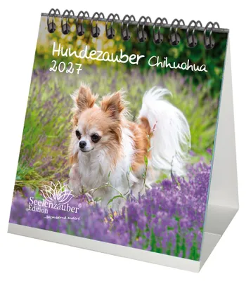 Produktbild von Hundezauber Chihuahua Tischkalender 10x10cm für 2027 Welpen und Hunde - Seelenzauber