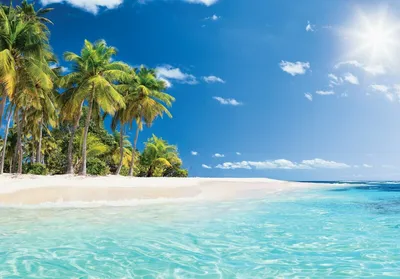 Produktbild von Vlies Fototapete Strand Meer Karibik (368x254cm - 4 Bahnen) Palmen Natur Wohnzimmer Schlafzimmer Wandtapete Modern Tapete Latexdruck UV-Beständig Geruchsfrei Hohe Auflösung Montagefertig