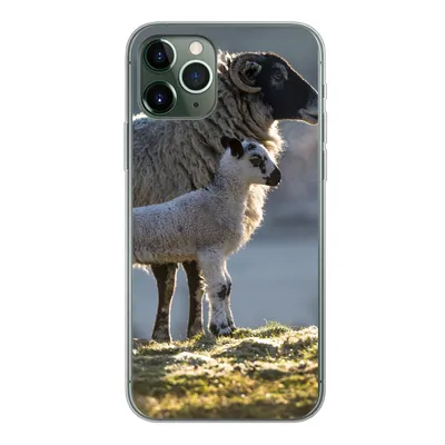 Produktbild von MuchoWow® Handyhülle Schutzhülle Hülle für iPhone 11 Pro Schaf - Lamm - Sonne Silikon Softcase Handy Hülle - Handy