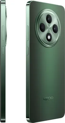 Produktbild von OPPO Reno12 F 5G, 16,9 cm (6.67"), 8 GB, 256 GB, 50 MP, Android 14, Schwarz, Grün