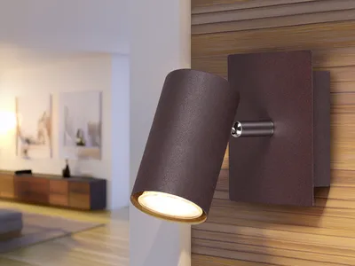 Produktbild von Dimmbare LED Wandlampe für Innen aus rostfarbigem Metall mit schwenkbarem Spot