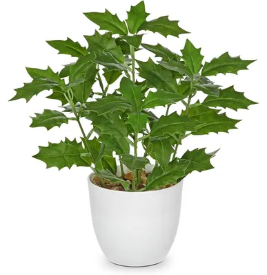 Productafbeelding van Kunstplant Ficus, pot, vensterbank, woonkamer, groen, hulstbladeren