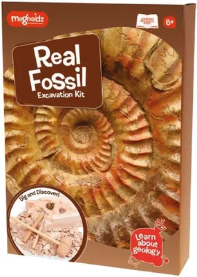 Immagine prodotto di Kit di paleontologia – Alla scoperta dei fossili