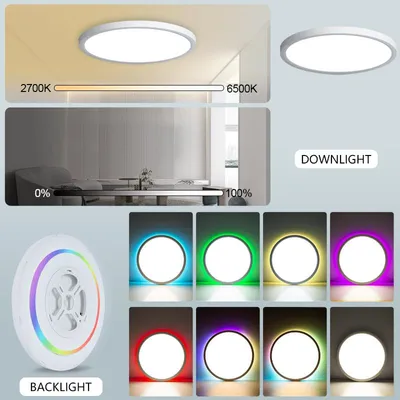 Zdjęcie produktu dla Lampa sufitowa, sterowanie głosowe, ściemnialna dioda LED, 40 cm