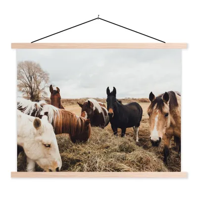 Produktbild von MuchoWow® Textilposter Tiere - Pferd 40x30 cm mit holzfarbenen Rahmen - Bilder