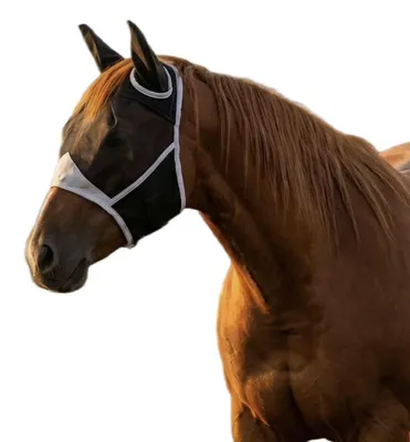 Productafbeelding van Vliegmasker voor Paarden met Oorbescherming, Maat L