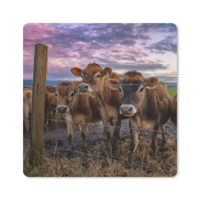 Produktbild von MuchoWow® Mauspad Mousepad Kuh - Zaun - Gras 20x20 cm - Mousepads - Maus Mat - Pad - Mausunterlage - Desk Mat - Bureauartikeln