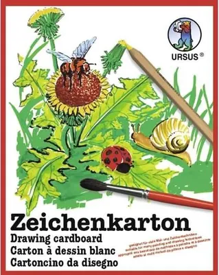 Produktbild von Zeichenkarton 200g/qm A4 VE=250 Bogen