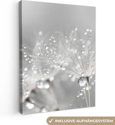 Produktbild von MuchoWow® - Leinwandbilder - Löwenzahn - Wassertropfen - Stilleben - Modern, Wandbild, Wanddeko Bilder Wohnzimmer, 60x80 cm