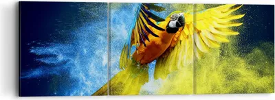 Produktbild von Bild auf Leinwand - Leinwandbild - Papagei Vogel Feder - 90x30cm - Wand Bild - Wanddeko - Wandbilder - Leinwanddruck - Bilder - Kunstdruck - Wanddekoration - Leinwand bilder - Wandkunst - CA90x30-3666