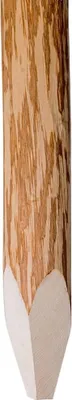 Produktbild von vidaXL Zaunpfosten mit Spitzen Enden 4 Stk. Haselholz 120 cm