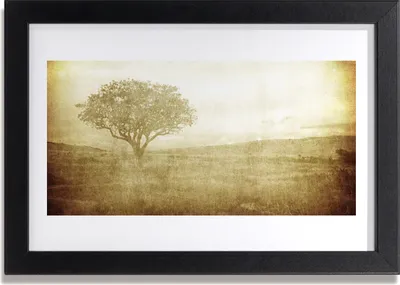 Produktbild von Bild 30x20 MDF-Rahmen Wandkunst Baum Natur