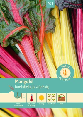 Artikelbild 1 von 'Mangold Bright Lights' aus der Kategorie Mangoldsamen