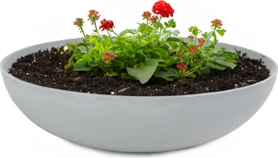 Immagine prodotto di Fioriere da esterno Ciotole decorative rotonde grigio chiaro 45 cm