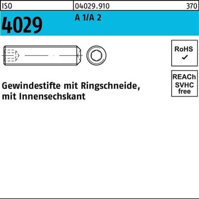Produktbild von Reyher  Gewindestifte ISO 4029 A 2 M 8 x 60 A 1/A 2 (50 Stück)