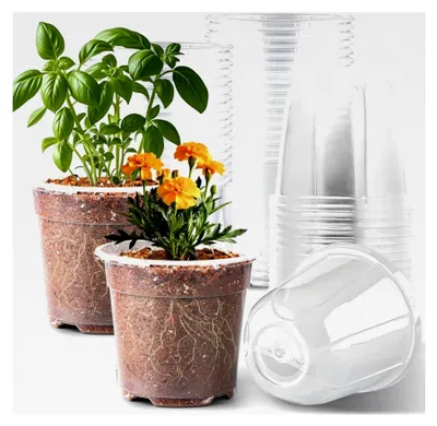 Produktbild von Transparente Pflanztöpfe mit Feuchtigkeitskuppel, 15,2 cm, 30 Stück, wiederverwendbare Samen-Startertöpfe mit Drainagelöchern