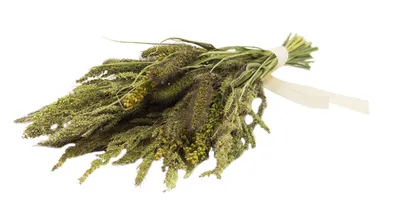 Produktbild von JR Farm Knabber - Potpourri 50g