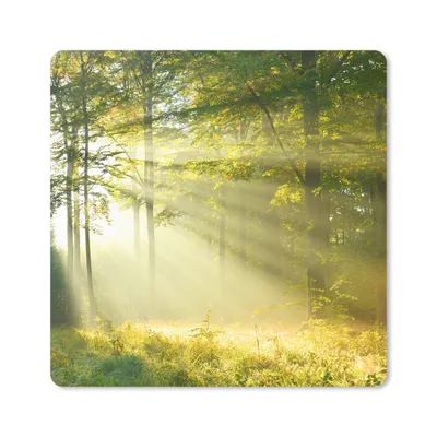 Produktbild von MuchoWow® Mauspad Mousepad Wald - Licht - Frühling 20x20 cm - Mousepads - Maus Mat - Pad - Mausunterlage - Desk Mat - Bureauartikeln