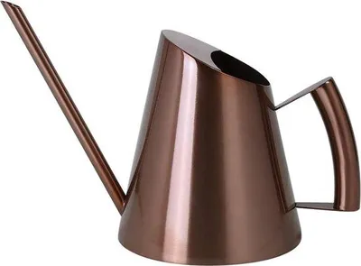 Immagine prodotto di Annaffiatoio piccolo da 900 ml in acciaio inossidabile spazzolato per piante da appartamento, con beccuccio lungo e comoda impugnatura