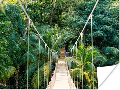 Produktbild von MuchoWow® Poster Dschungel - Palme - Brücke - Natur - Pflanzen 120x90 cm - Wandbild