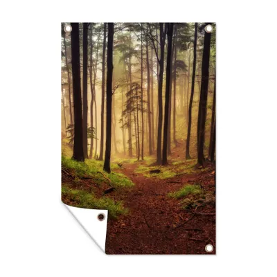 Obrázek produktu pro MuchoWow® Zahradní plakáty - Stromy - Příroda - Les - 60x40 cm - Zahradní dekorace