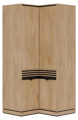 Productafbeelding van Furniture24 Hoekkast Ferro Fe13, kast met 4 deuren, hoekkast, 100 x 204 x 100 cm