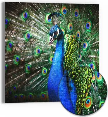 Produktbild von DEQORI Hybrid Leinwand Bild 50x50 cm 'Schönheit des Gefieders' Wandbild Glas flach modern