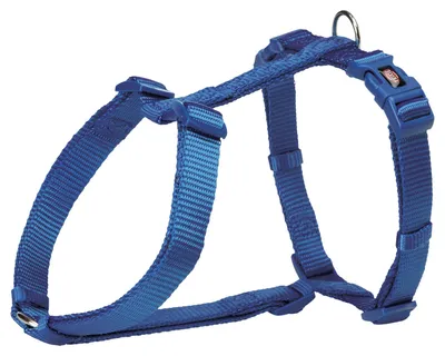 Image de Harnais Premium H 30-44 cm/10 mm bleu royal