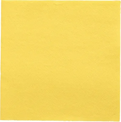 Obrázek produktu pro PAPSTAR Servítky DAILY Collection 89614 32x32cm ge 20ST