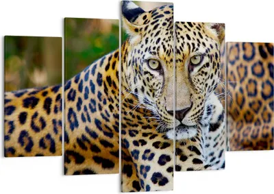 Produktbild von Bild auf Leinwand - Leinwandbild - Leopardpanther Katze Tier Savanne - 150x100cm - Wand Bild - Wanddeko - Leinwanddruck - Bilder - Kunstdruck - Leinwand bilder - Wandkunst - EA150x100-0402